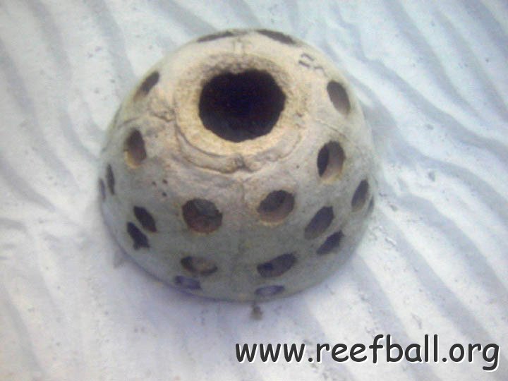 zartificialreef03
