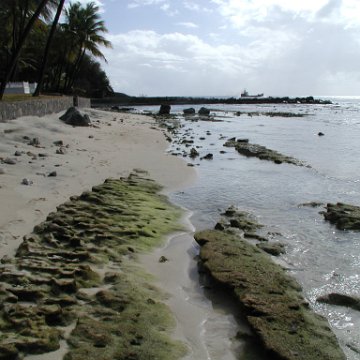 shoreline