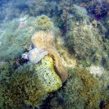 0072_exposure 0072_exposure