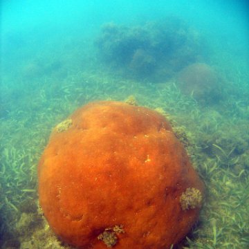 0075_exposure 0075_exposure