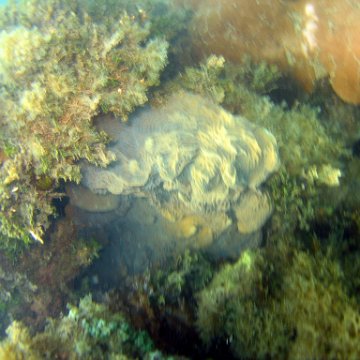 0078_exposure 0078_exposure