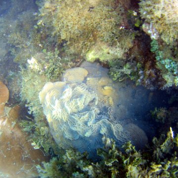 0079_exposure 0079_exposure