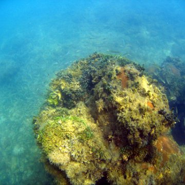 0110_exposure 0110_exposure