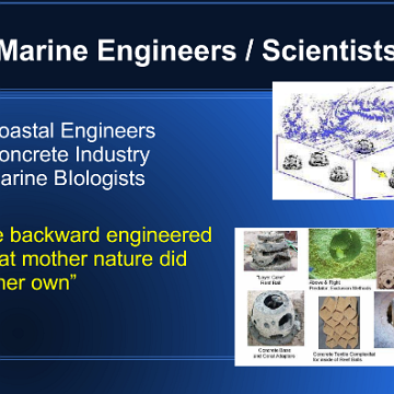 MaritimeAllianceKeynotePresentation (4) MaritimeAllianceKeynotePresentation (4)