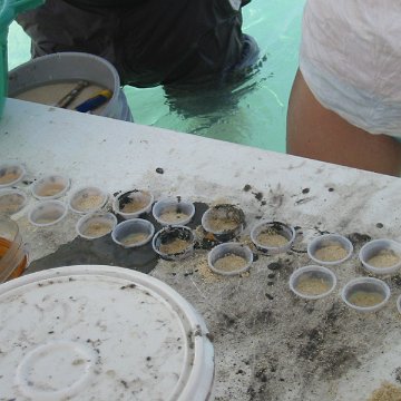 IMG_0018 IMG_0018