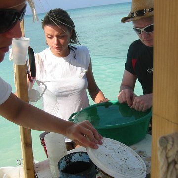 IMG_0019 IMG_0019