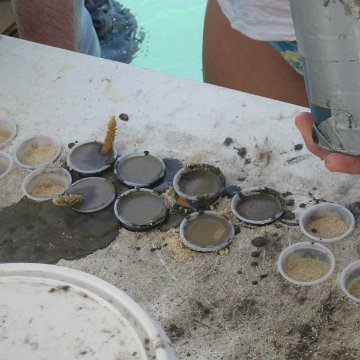 IMG_0022 IMG_0022