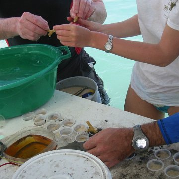 IMG_0026 IMG_0026