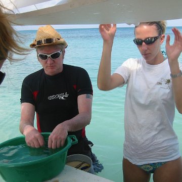 IMG_0027 IMG_0027