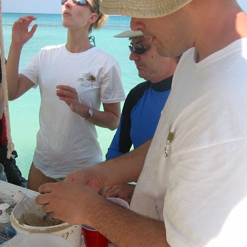 IMG_0028 IMG_0028