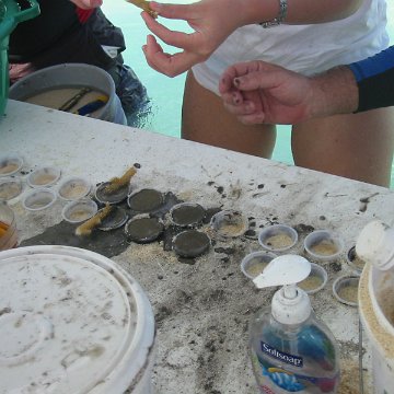 IMG_0030 IMG_0030