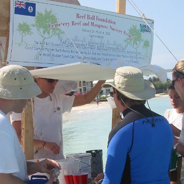 IMG_0034 IMG_0034
