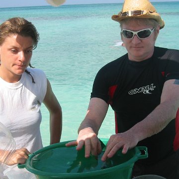 IMG_0036 IMG_0036