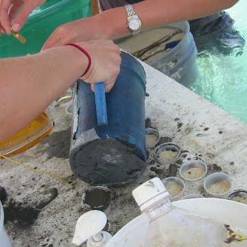 IMG_0037 IMG_0037
