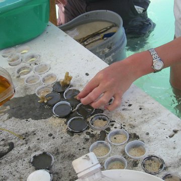 IMG_0038 IMG_0038