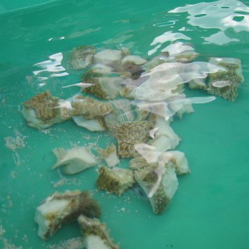 IMG_0050 IMG_0050