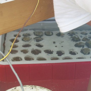 IMG_0056 IMG_0056