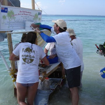 Larry_Grand_Cayman_070301 284 Larry_Grand_Cayman_070301 284