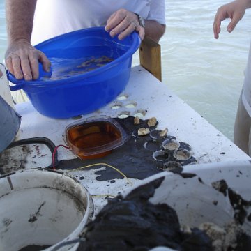 Larry_Grand_Cayman_070301 287 Larry_Grand_Cayman_070301 287