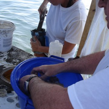 Larry_Grand_Cayman_070301 290 Larry_Grand_Cayman_070301 290