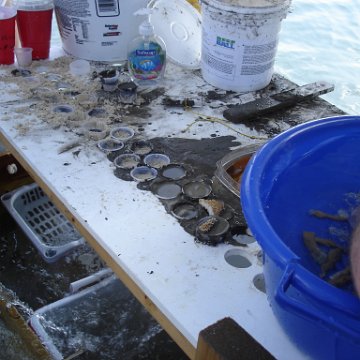 Larry_Grand_Cayman_070301 291 Larry_Grand_Cayman_070301 291