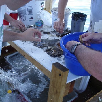 Larry_Grand_Cayman_070301 292 Larry_Grand_Cayman_070301 292