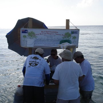 Larry_Grand_Cayman_070301 297 Larry_Grand_Cayman_070301 297