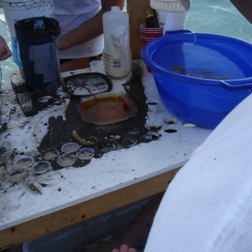 Larry_Grand_Cayman_070301 299 Larry_Grand_Cayman_070301 299