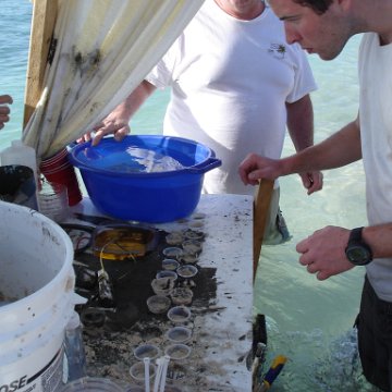 Larry_Grand_Cayman_070301 301 Larry_Grand_Cayman_070301 301