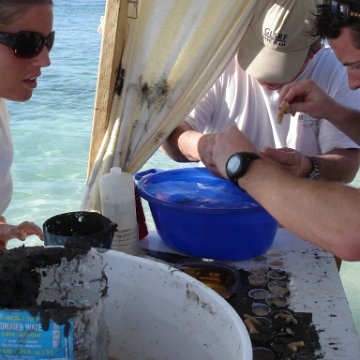 Larry_Grand_Cayman_070301 303 Larry_Grand_Cayman_070301 303