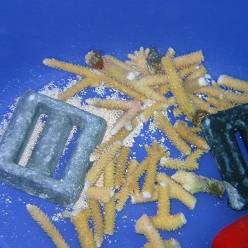 IMG_0020 IMG_0020