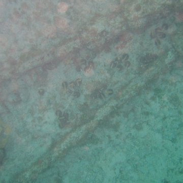 IMG_0025 IMG_0025