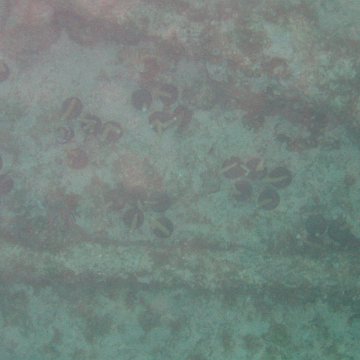 IMG_0026 IMG_0026