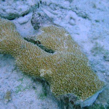IMG_0033 IMG_0033