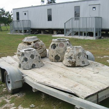 IMG_0005 IMG_0005