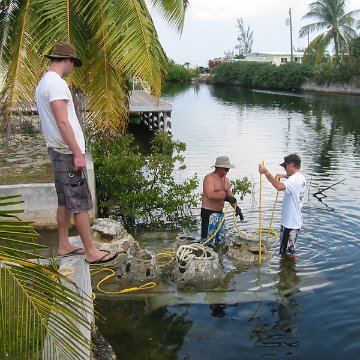 IMG_0009 IMG_0009