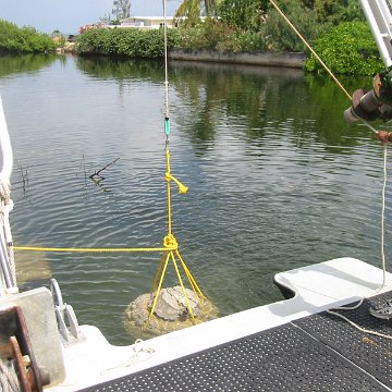 IMG_0011 IMG_0011