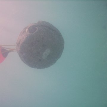 IMG_0084 IMG_0084