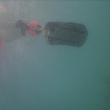 IMG_0085 IMG_0085