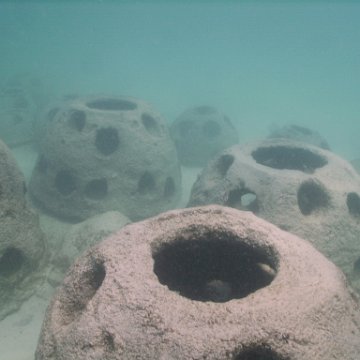 IMG_0110 IMG_0110
