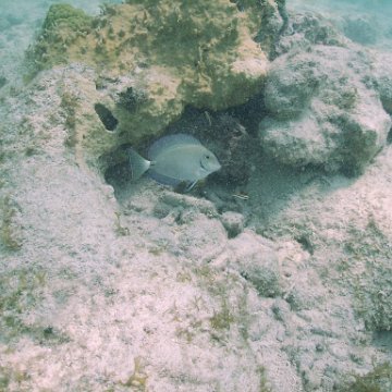 IMG_0126 IMG_0126