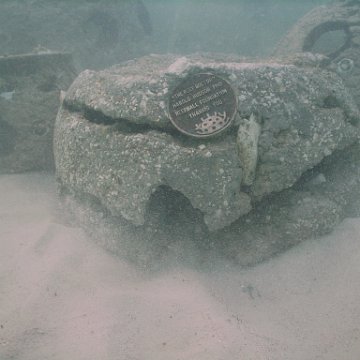 IMG_0134 IMG_0134