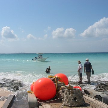 IMG_4867 IMG_4867