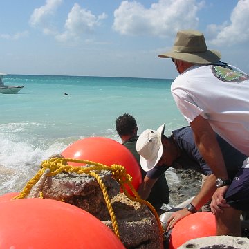 IMG_4872 IMG_4872