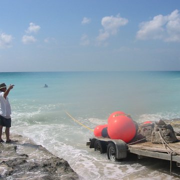 IMG_4875 IMG_4875