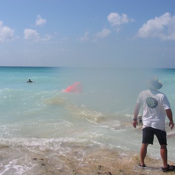 IMG_4879 IMG_4879