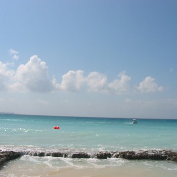 IMG_4880 IMG_4880