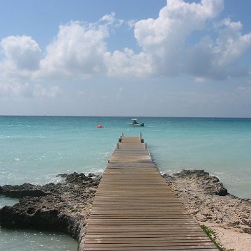 IMG_4881 IMG_4881