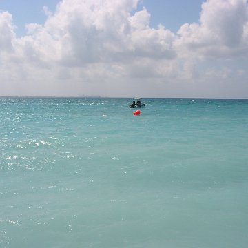 IMG_4882 IMG_4882