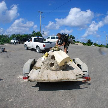 P1010067 P1010067
